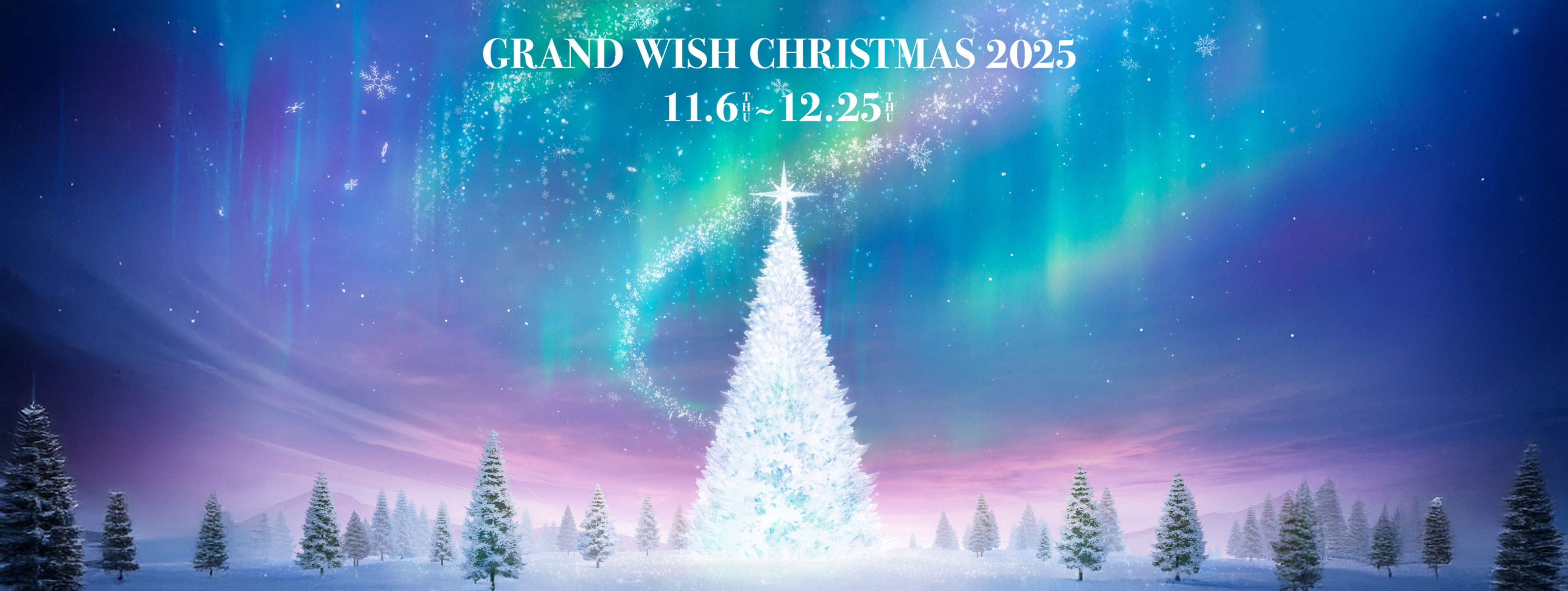 GRAND WISH CHRISTMAS 2024 Infinity Lights 11.7-12.25