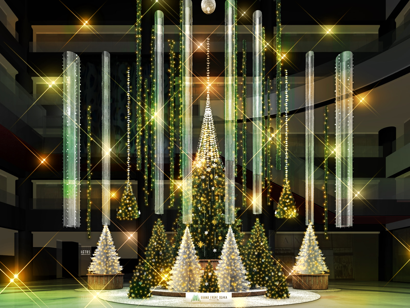 Evergreen Forest Tree