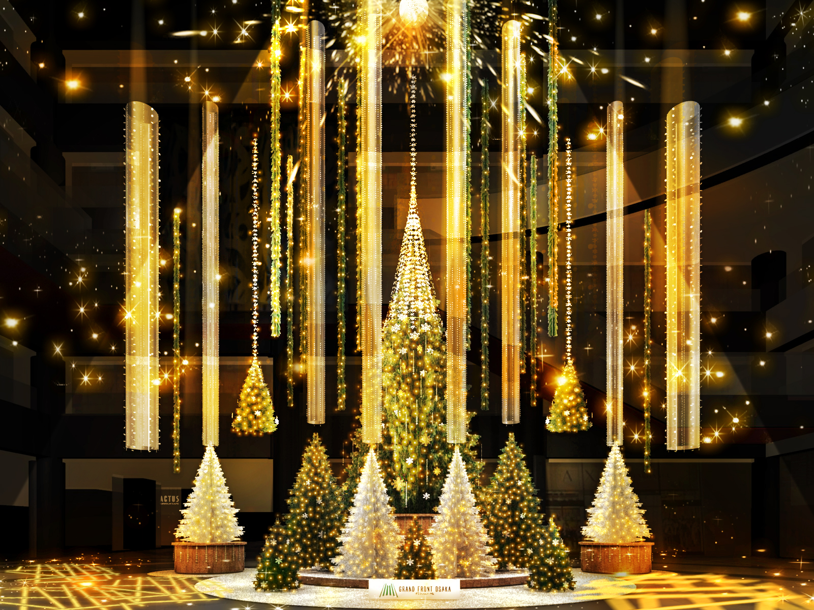 Evergreen Forest Tree
